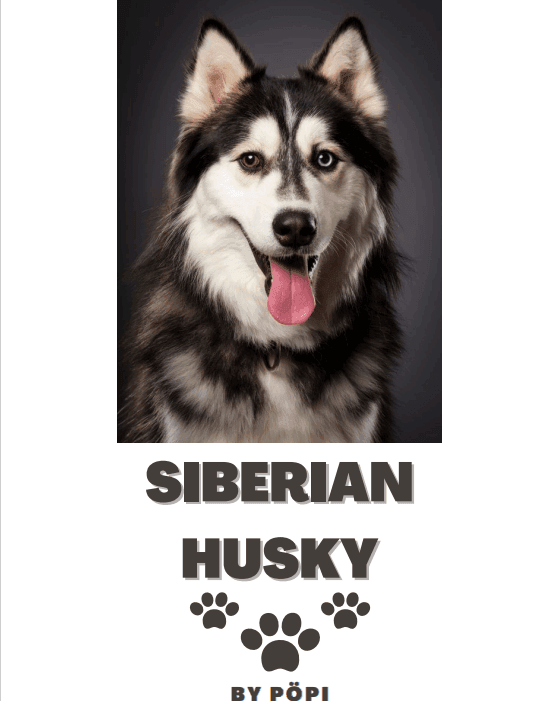 E-BOOK Husky - Pöpi Állateledel és Kiegészítők