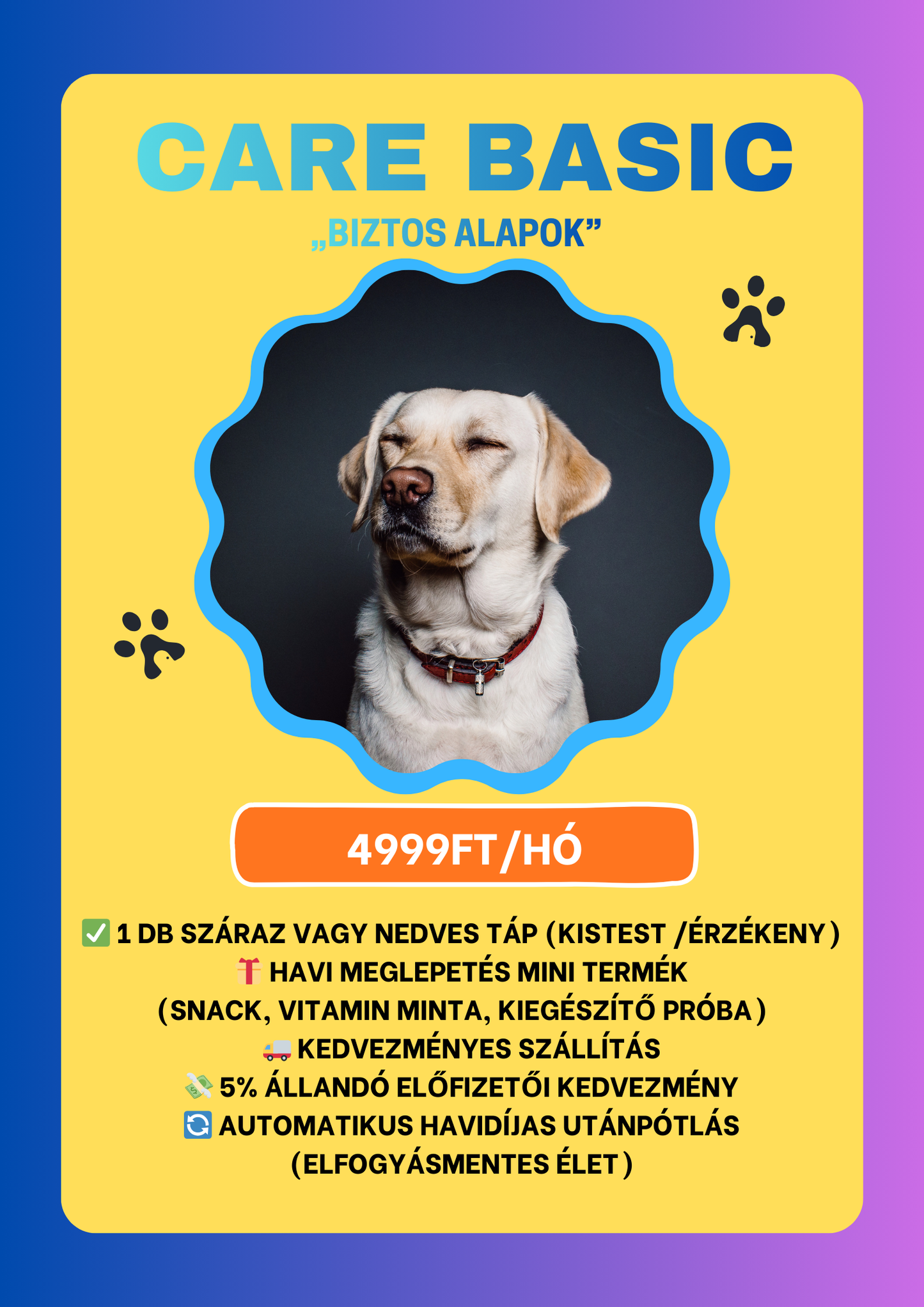 Care Basic – „Biztos alapok”