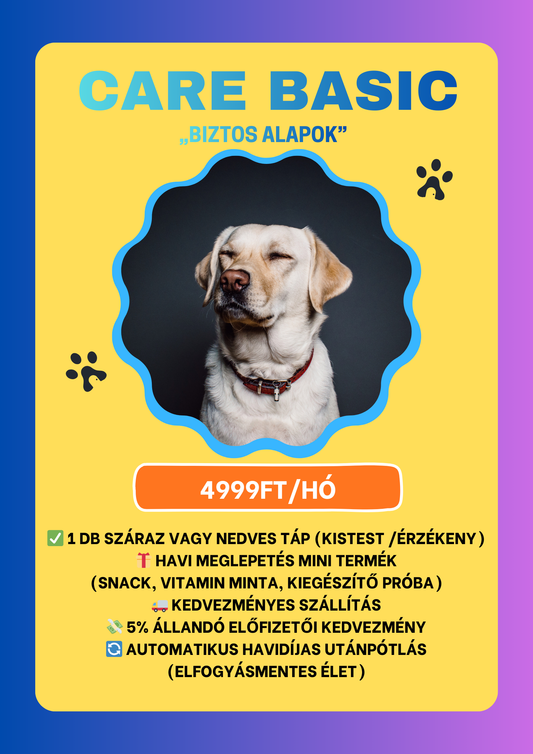 Care Basic – „Biztos alapok”