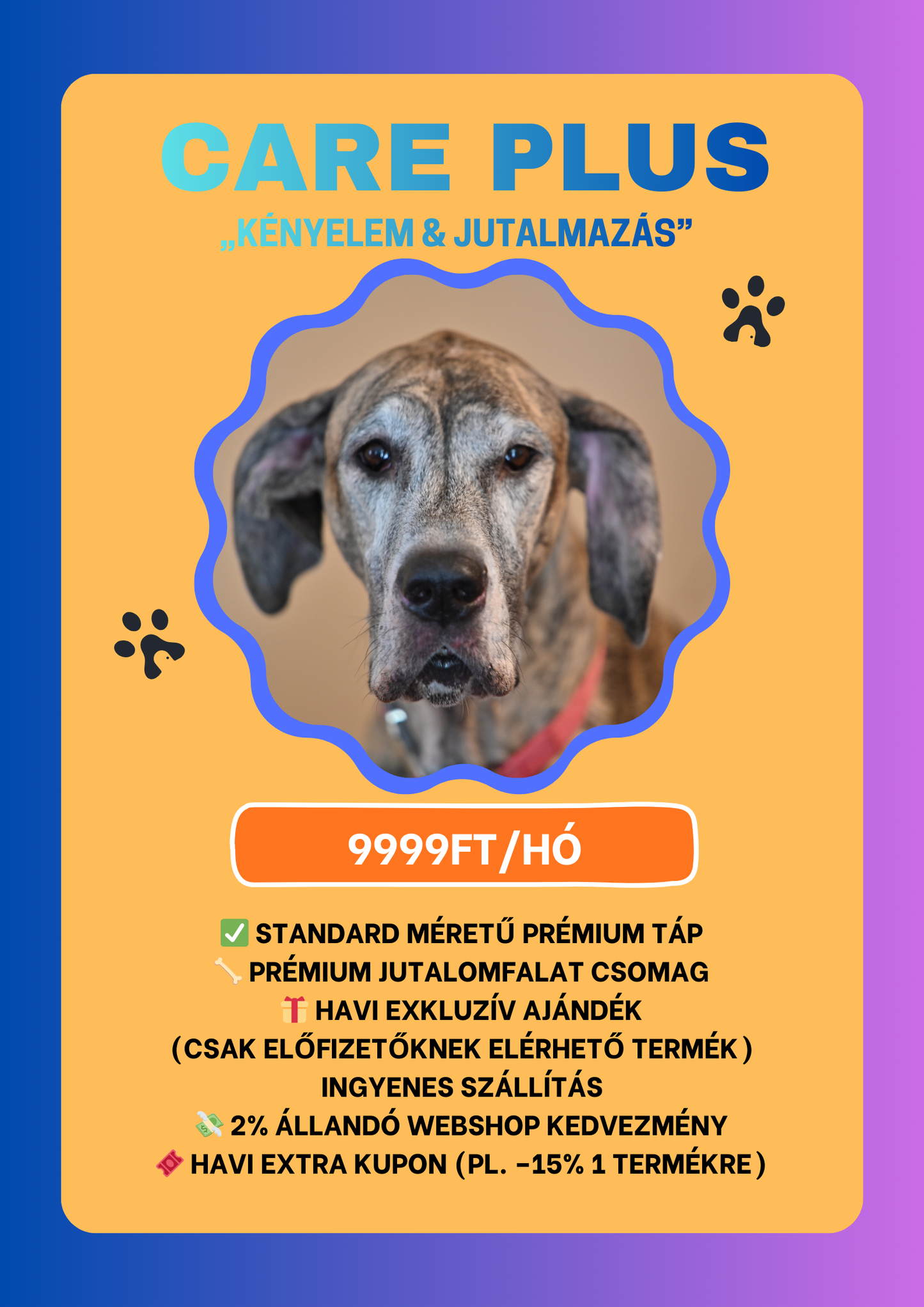 Care Plus – „Kényelem & jutalmazás”