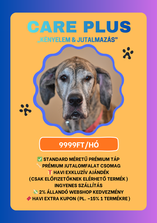 Care Plus – „Kényelem & jutalmazás”