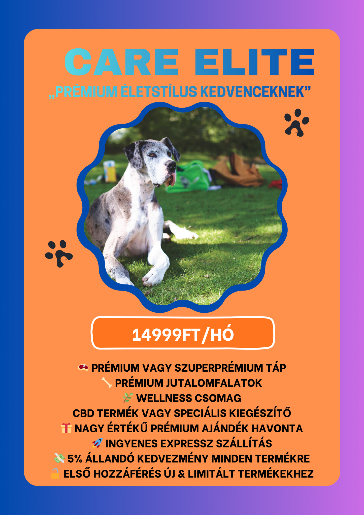 Care Elite – „Prémium életstílus kedvenceknek”