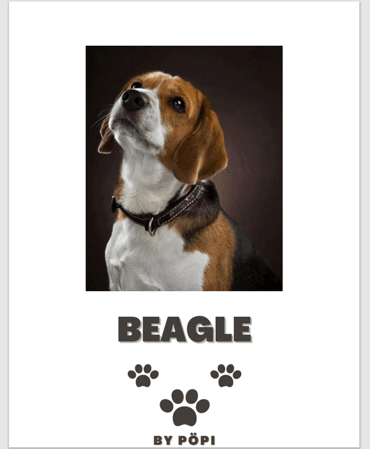E-BOOK Beagle - Pöpi Állateledel és Kiegészítők
