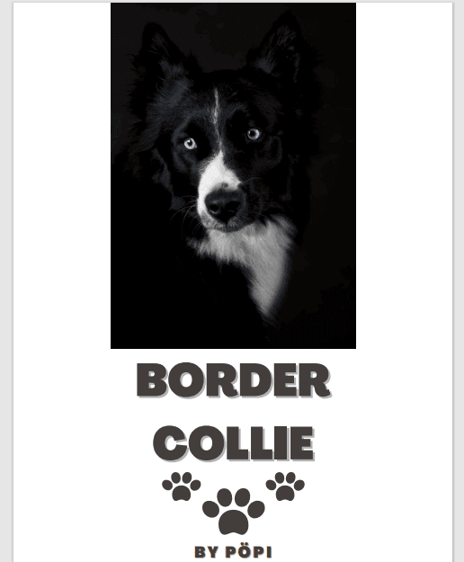 E-BOOK Border collie - Pöpi Állateledel és Kiegészítők