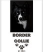 E-BOOK Border collie - Pöpi Állateledel és Kiegészítők