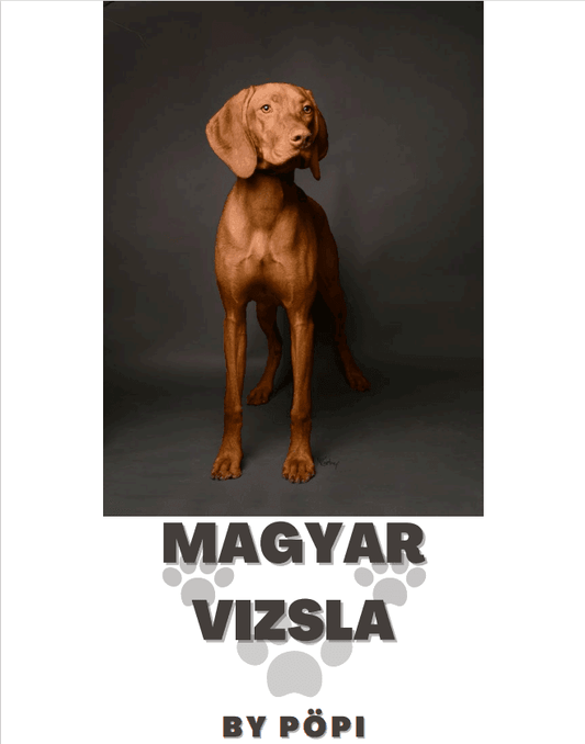 E-BOOK Magyar vizsla - Pöpi Állateledel és Kiegészítők