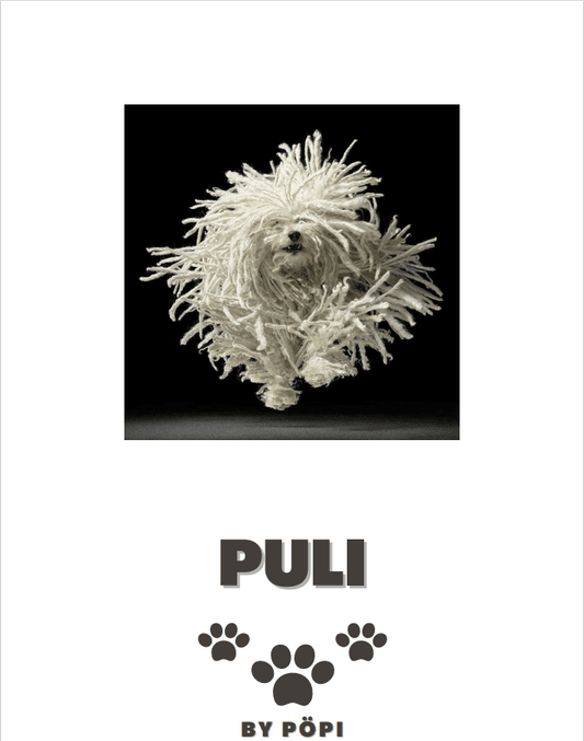 E-BOOK Puli - Pöpi Állateledel és Kiegészítők