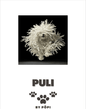E-BOOK Puli - Pöpi Állateledel és Kiegészítők