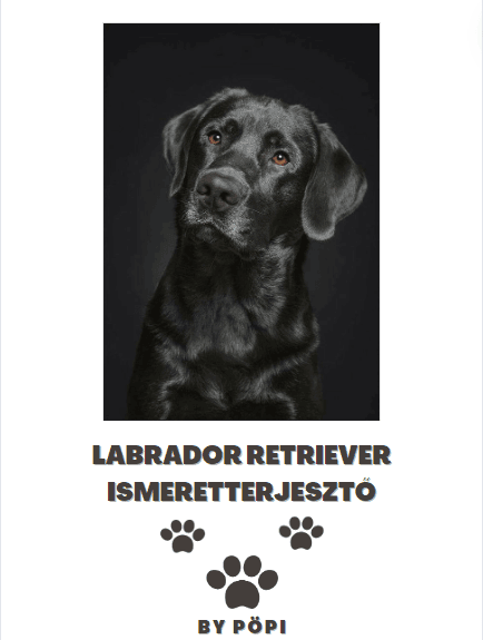 E-BOOK Labrador retriever - Pöpi Állateledel és Kiegészítők