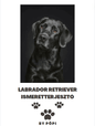 E-BOOK Labrador retriever - Pöpi Állateledel és Kiegészítők