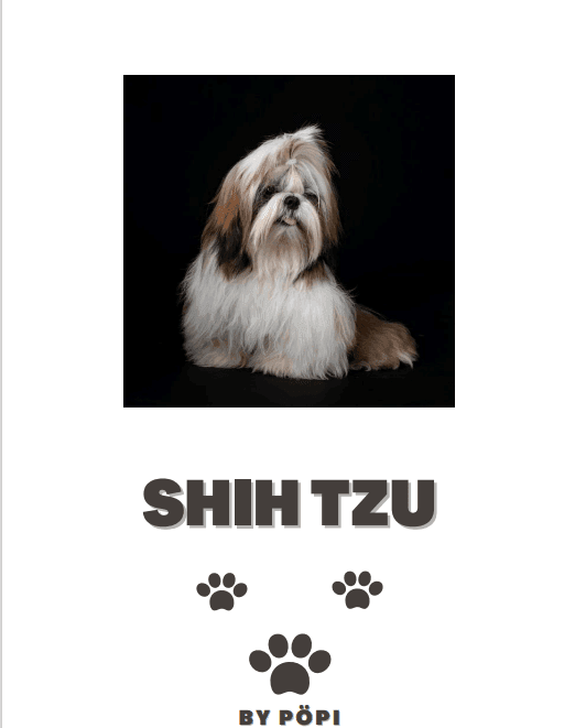 E-BOOK Shih tzu - Pöpi Állateledel és Kiegészítők