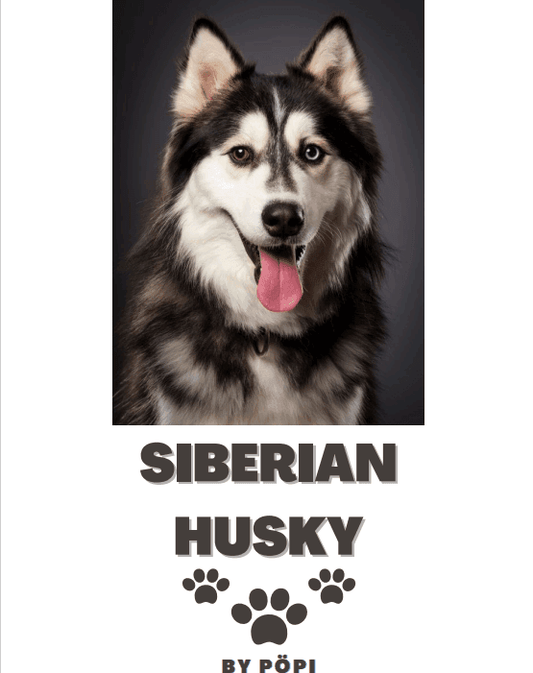 E-BOOK Husky - Pöpi Állateledel és Kiegészítők
