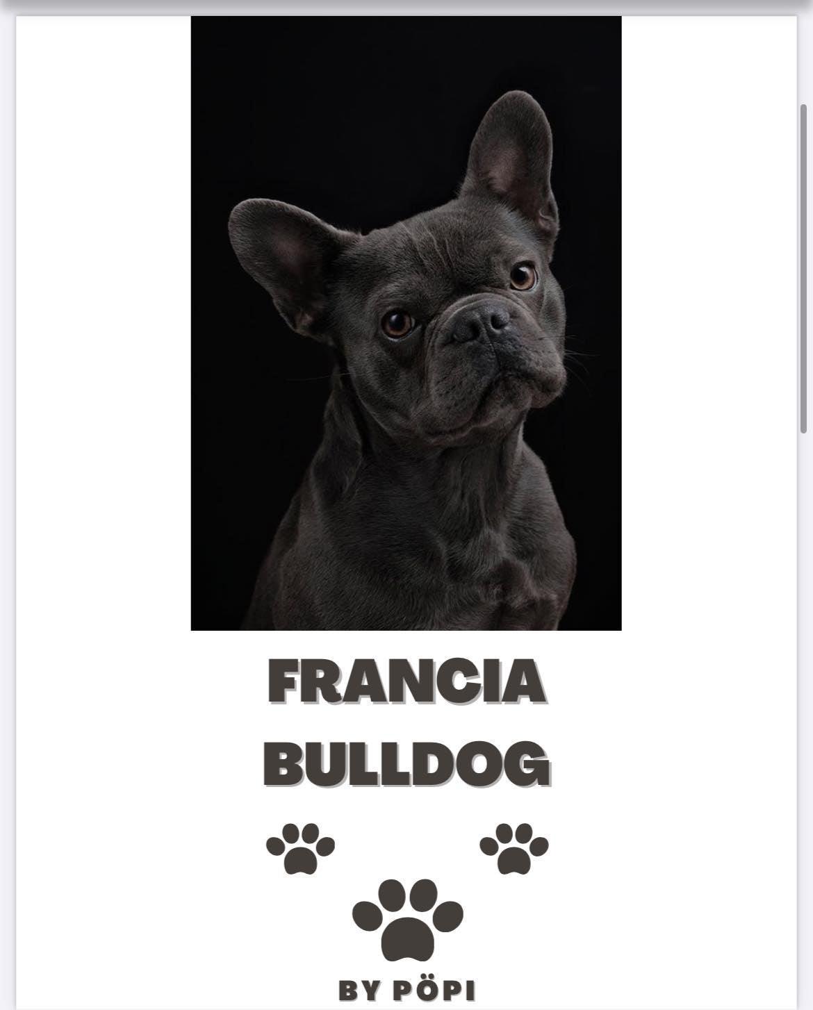 E-BOOK Francia Buldog - Pöpi Állateledel és Kiegészítők
