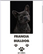 E-BOOK Francia Buldog - Pöpi Állateledel és Kiegészítők